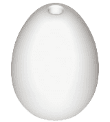 Egg with Small Pin Hole