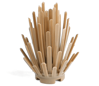 Plant Prickly Bush 2 x 2 x 4